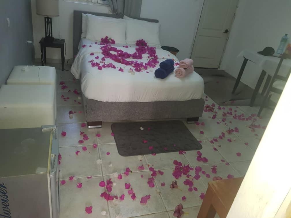 Poco Loco B&B Abeme Ngoại thất bức ảnh